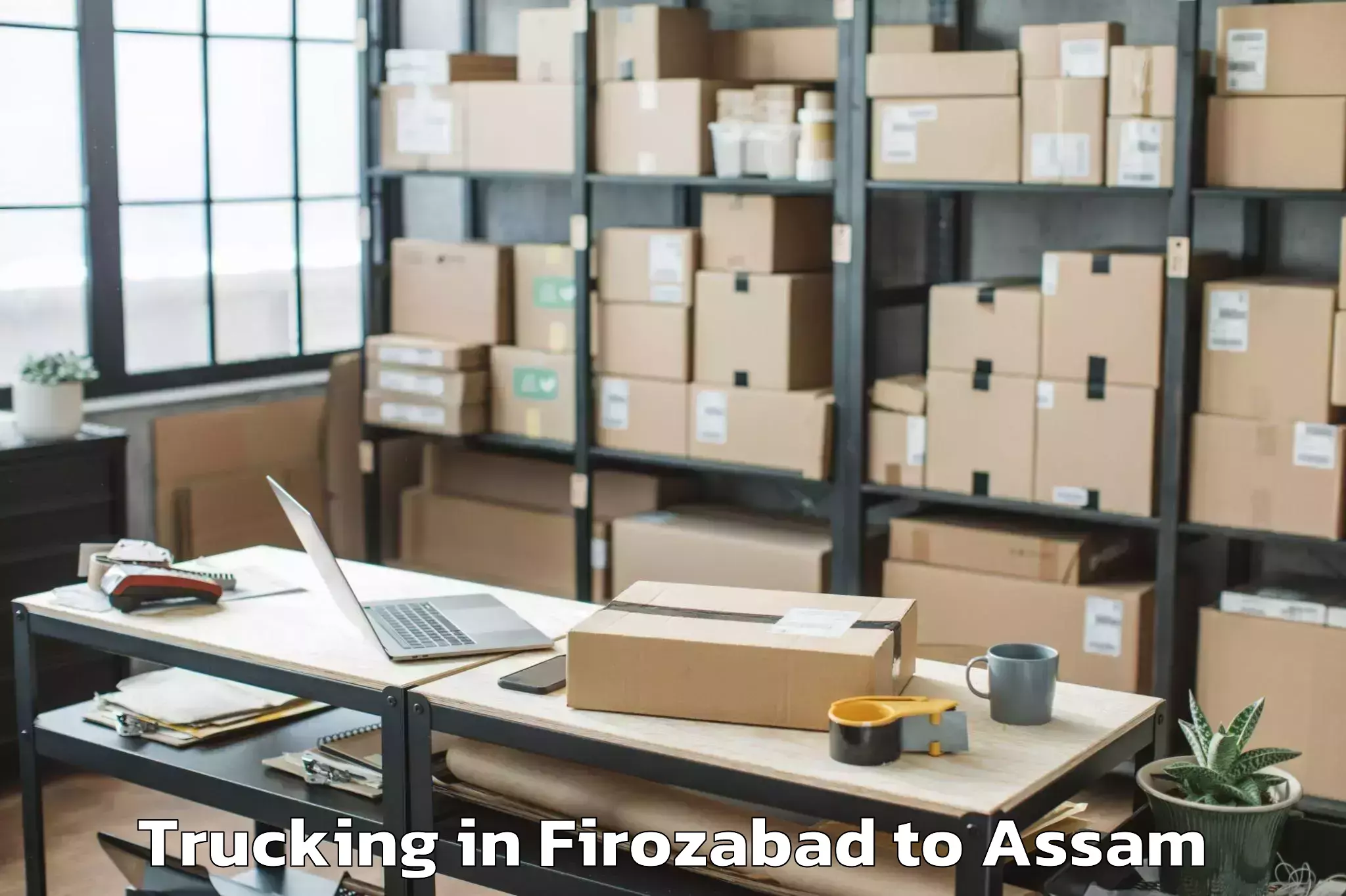 Quality Firozabad to Nazira Trucking